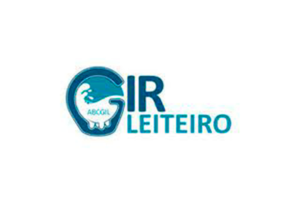 Patrocinadores / Apoio