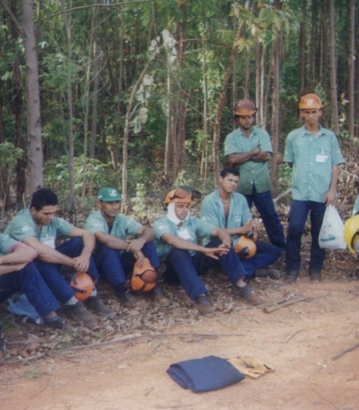 Curso Senar