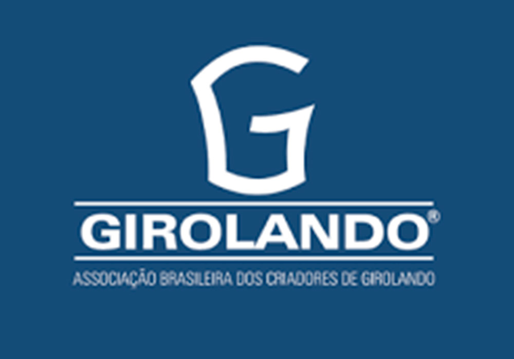 Patrocinadores / Apoio