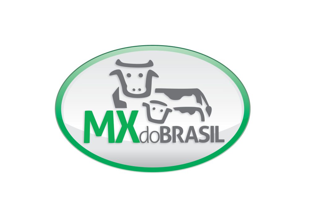 mx brasiç